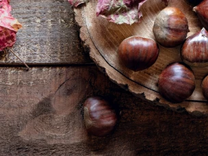 Castanhas: benefícios, calorias, receitas