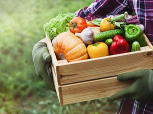 Cabazes de Fruta e Legumes