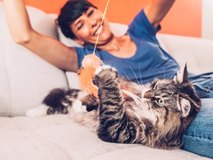 Melhores Brinquedos para Gatos