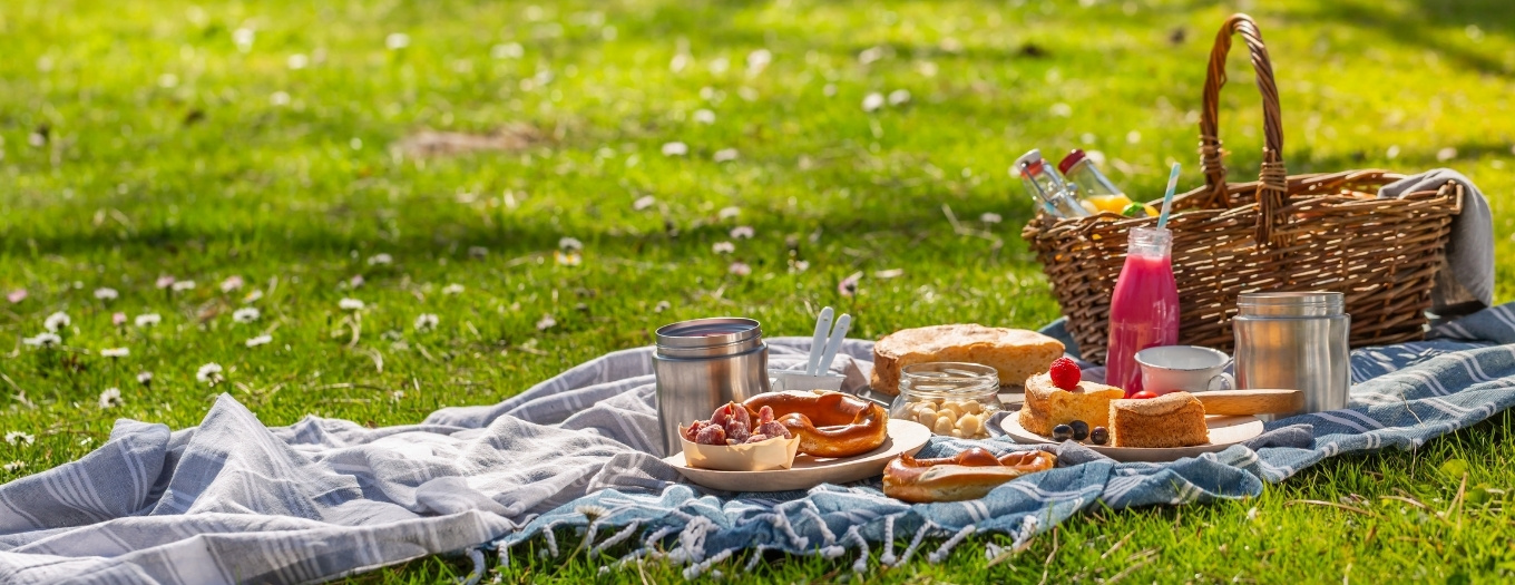 O Que Levar Para Piquenique