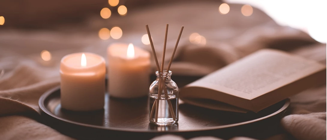 Melhores Ambientadores Para Casas