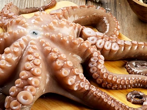 Polvo: receitas e beneficios