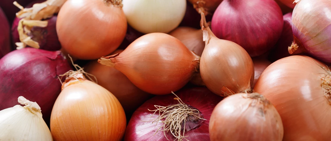 Cebola: receitas, benefícios e tipos