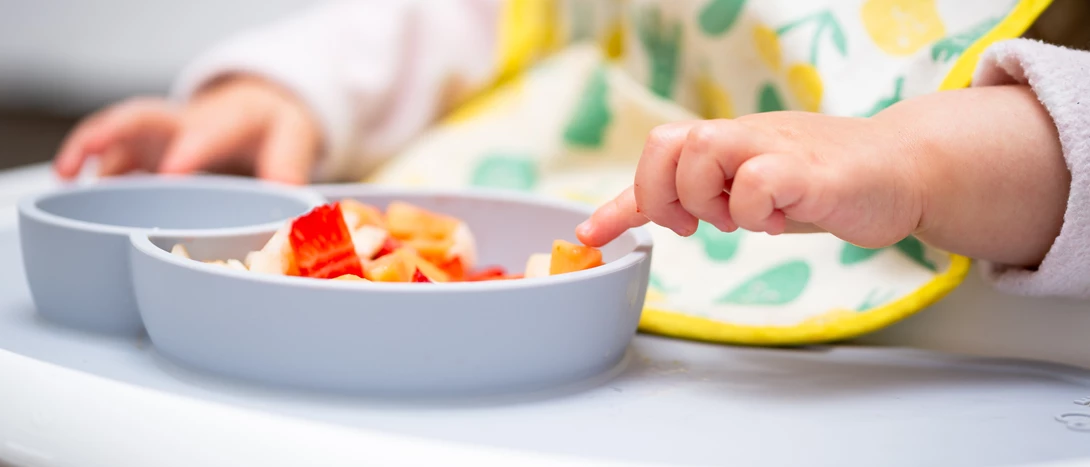 Snacks e lanches para bebé