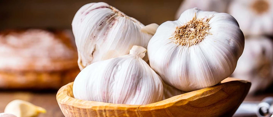 Dentes de alho