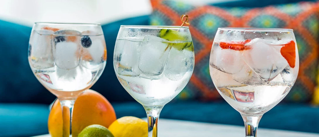 Receitas Gin Tonico