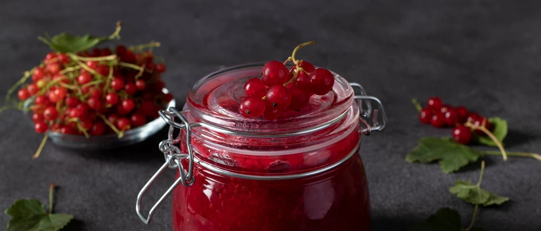 Tipos de Groselha, Benefícios e Receitas