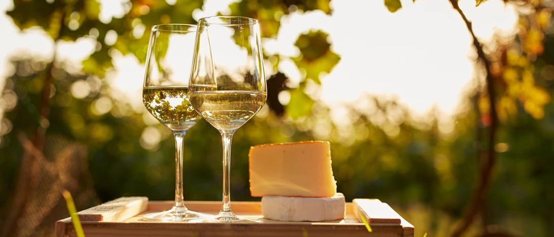 Vinho Para Acompanhar Queijo