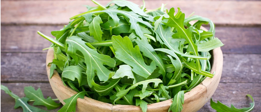 Benefícios da Rúcula