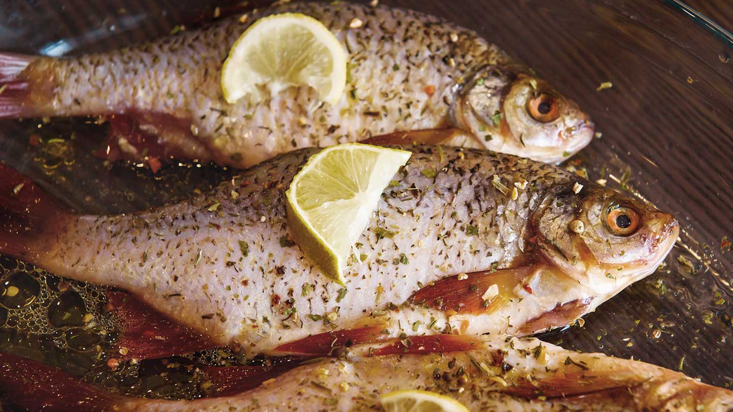 Peixe Perca: Benef&#237;cios e Receitas
