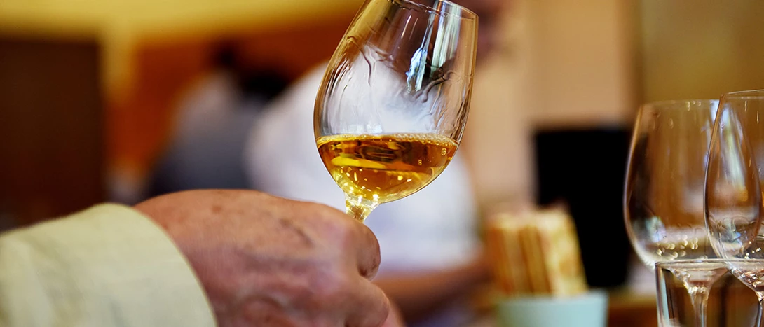 Vinhos premiados: Uva de Ouro